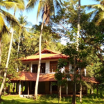 main-house-horizon