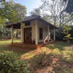 bungallow_face
