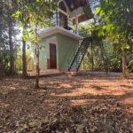 jungle_bungallow